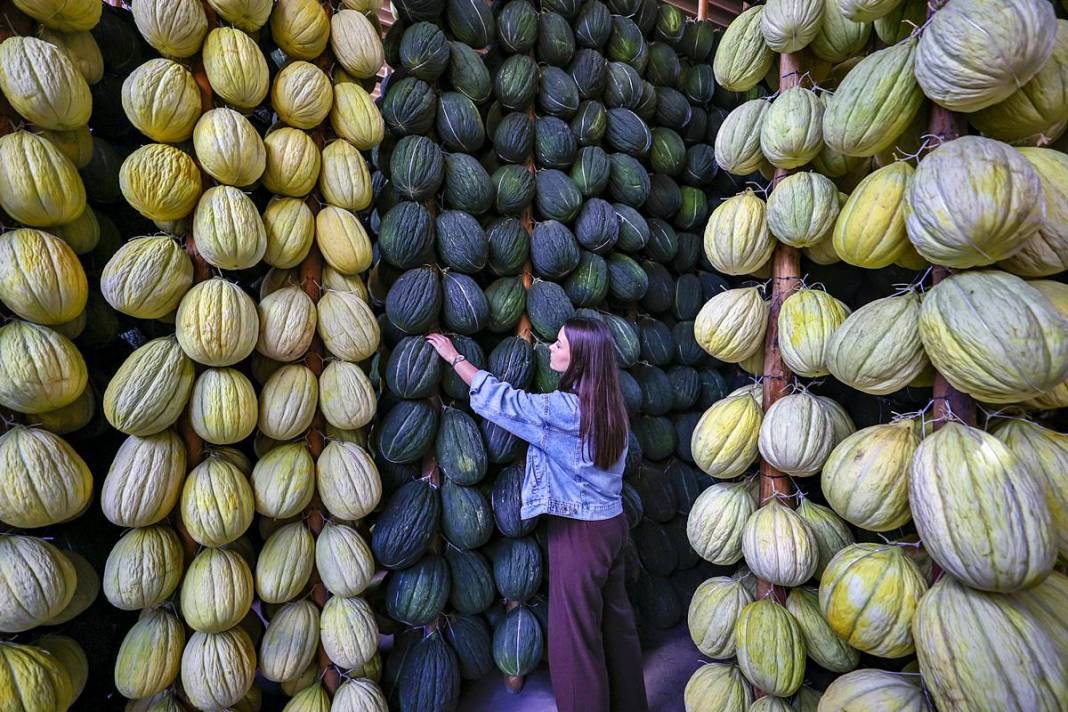 AB onaylı lezzet! Kırkağaç kavunu, kış aylarında da tezgahlarda 10